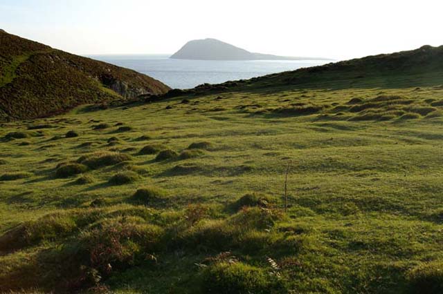 Bardsey and field system