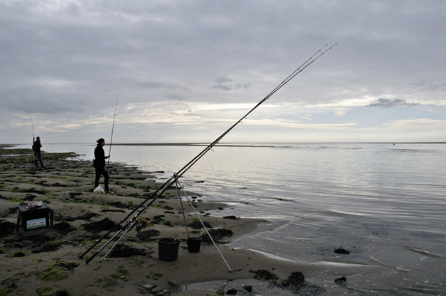 fishing estuary